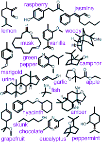 Odor molecules